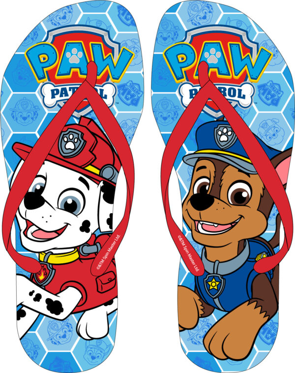 Paw Patrol ΑΓΟΡΙΣΤΙΚΕΣ ΣΑΓΙΟΝΕΣ