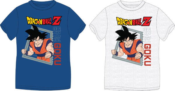 T-Shirt για αγόρια DragonBall Z size 104-152 pcb/12