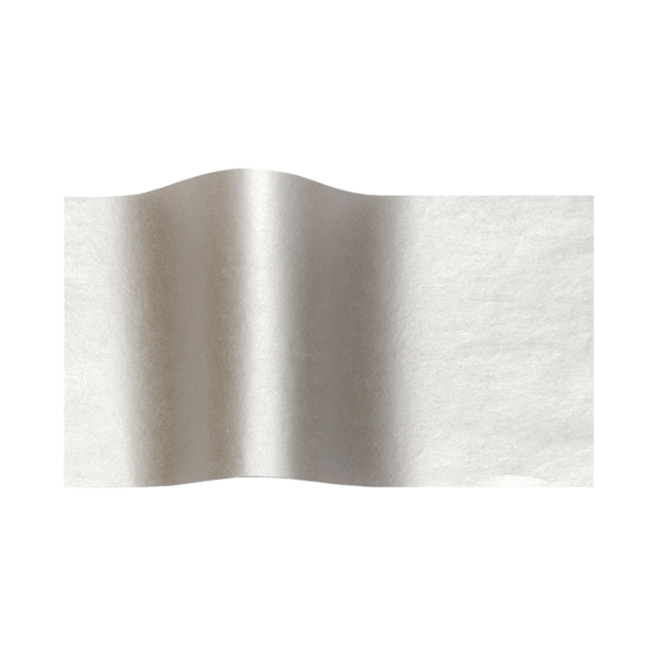 METRON ART ΧΑΡΤΟΝΙ ΔΙΠΛΗΣ ΟΨΗΣ 50x70cm 250gr ΑΣΗΜΙ ΜΕΤΑΛΛΙΚΟ 10 ΤΕΜΑΧΙΑ