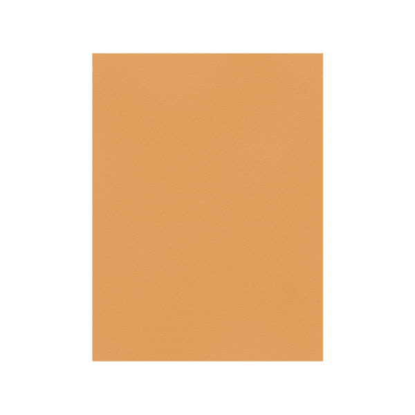 FAVINI ΧΑΡΤΟΝΙ 50x70cm 220gr TABACCO Νο12