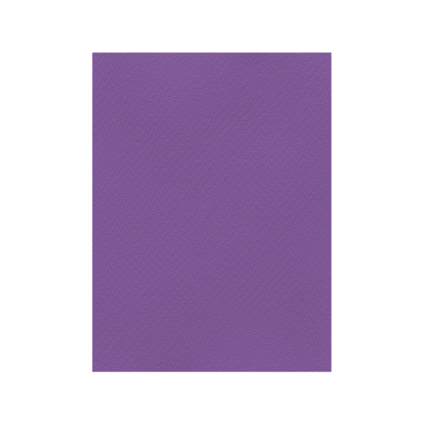 FAVINI ΧΑΡΤΟΝΙ 50x70cm 220gr ΒΙΟΛΕΤΙ Νο19