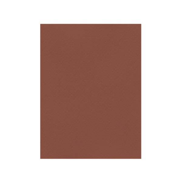 FAVINI ΧΑΡΤΟΝΙ 70x100cm 220gr ΚΑΦΕ ΣΟΚΟΛΑΤΙ Νο11