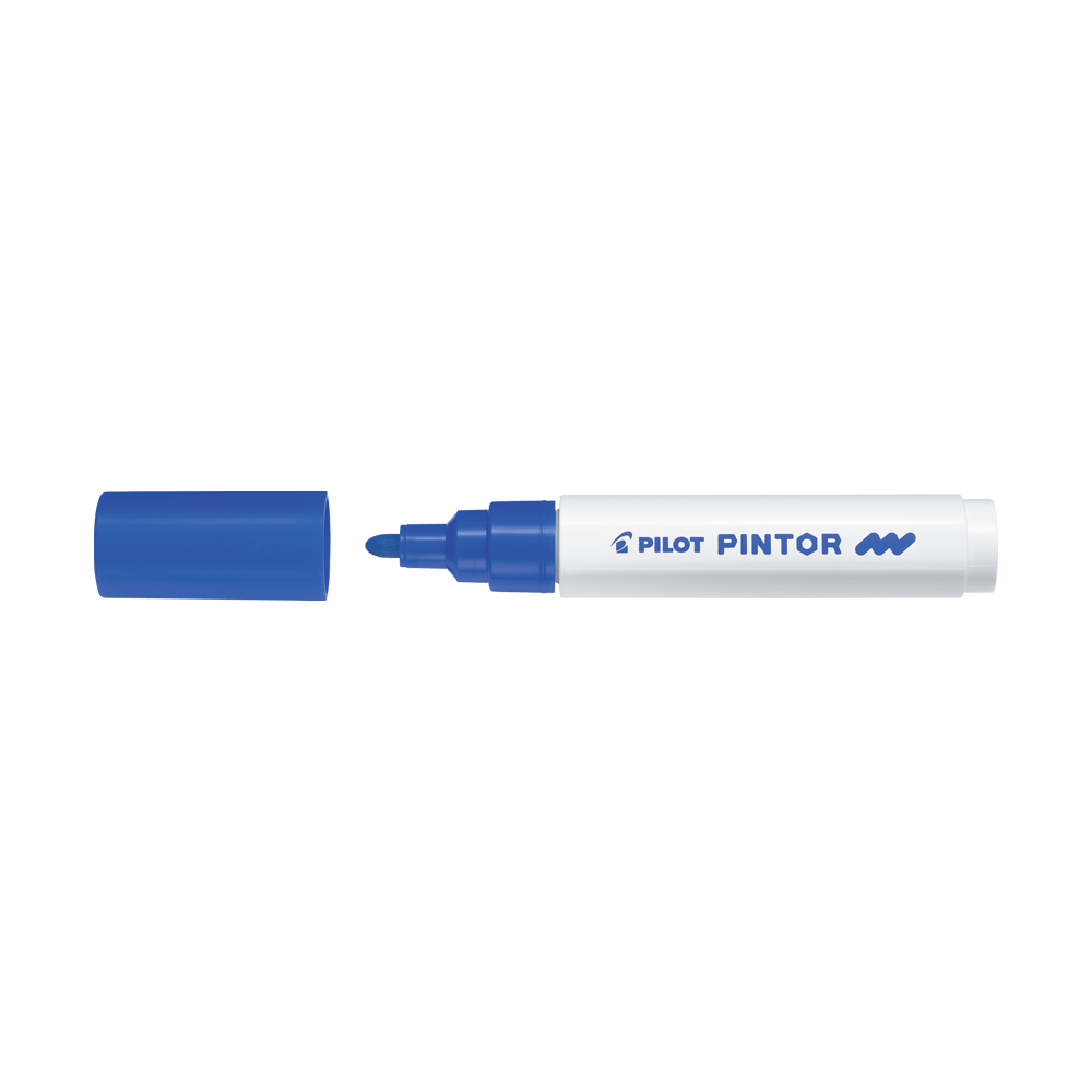PILOT ΜΑΡΚΑΔΟΡΟΙ PINTOR MEDIUM ΜΠΛΕ 6 ΤΕΜΑΧΙΑ